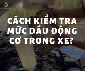 kiem tra muc dau dong co